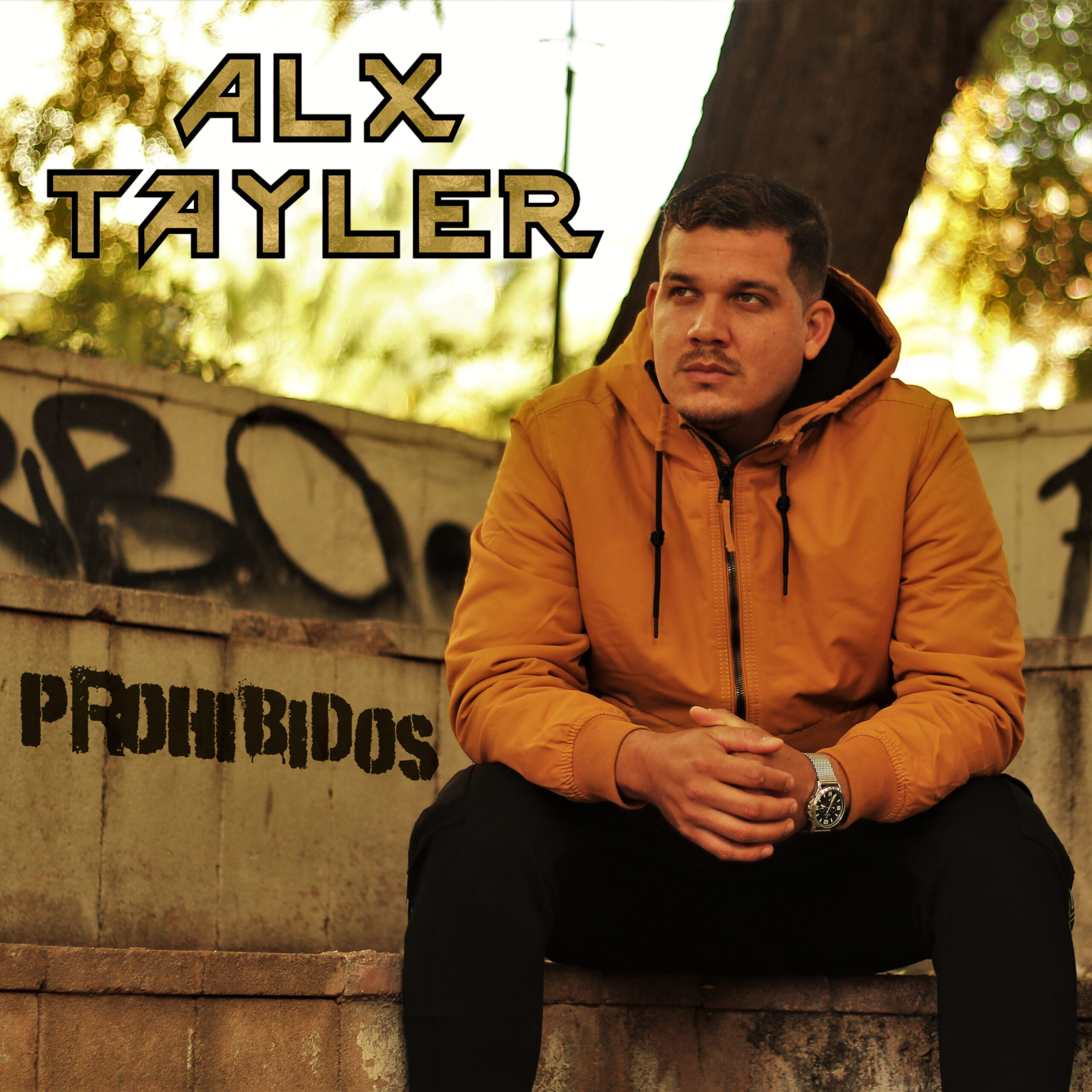 Artwork for Prohibidos, a song by Alx Tayler.